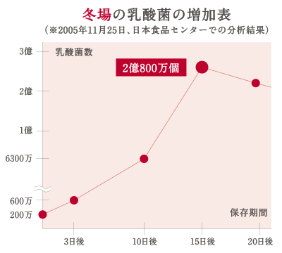 夏場の乳酸菌の増加表